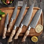 Damascus Chef Knife 5 Pc Set Kitchen Knives Set