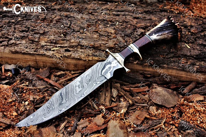 Forged Handmade Damascus Bowie Knife